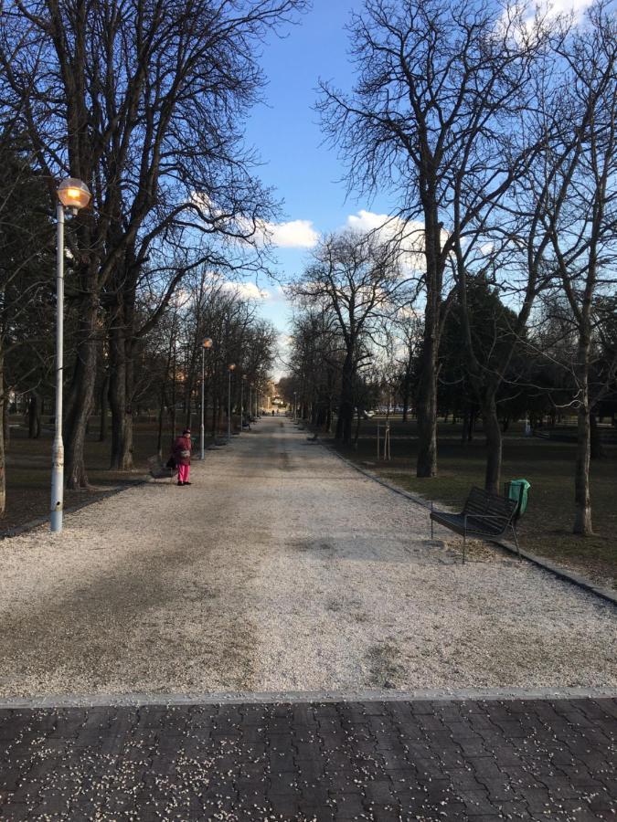 Romantic Studio In Budapest 12Th District Close To Mom Parkアパートメント エクステリア 写真